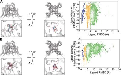 Toward high-resolution modeling of small molecule–ion channel interactions